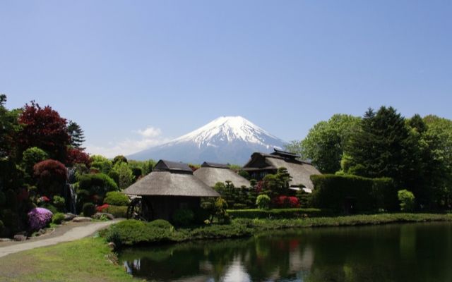 ふるさと納税