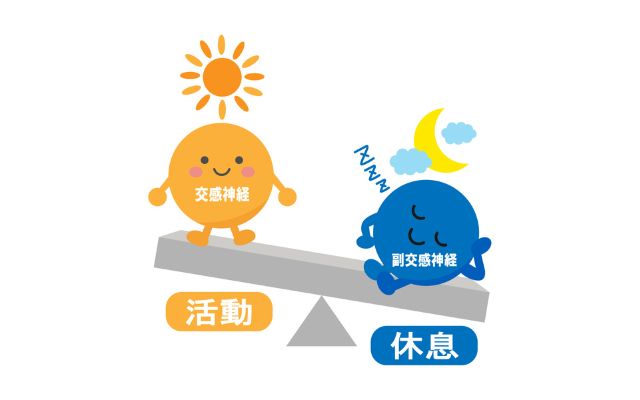 交感神経