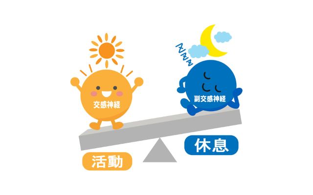 交感神経